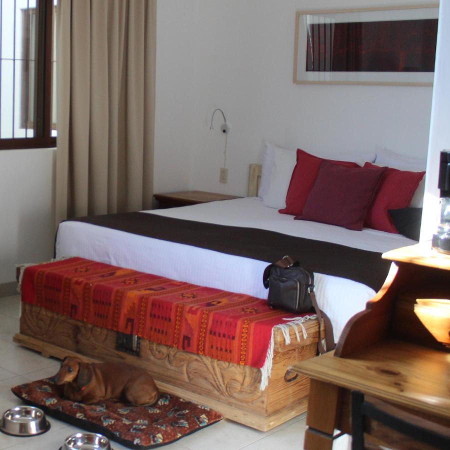 Oaxaca La Cochinilla Hotel Boutique מראה חיצוני תמונה