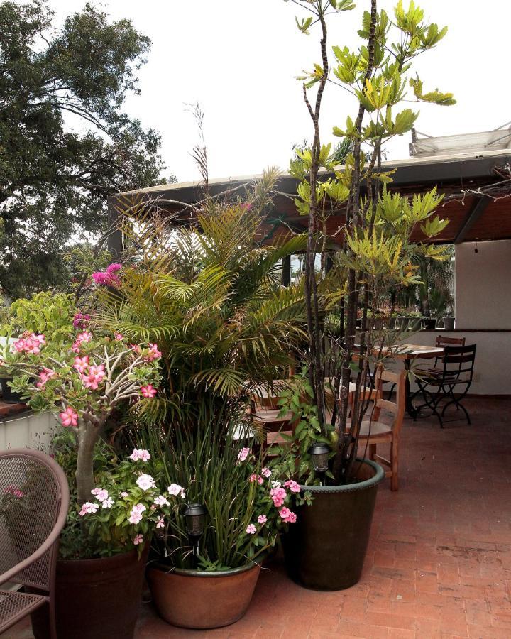 Oaxaca La Cochinilla Hotel Boutique מראה חיצוני תמונה