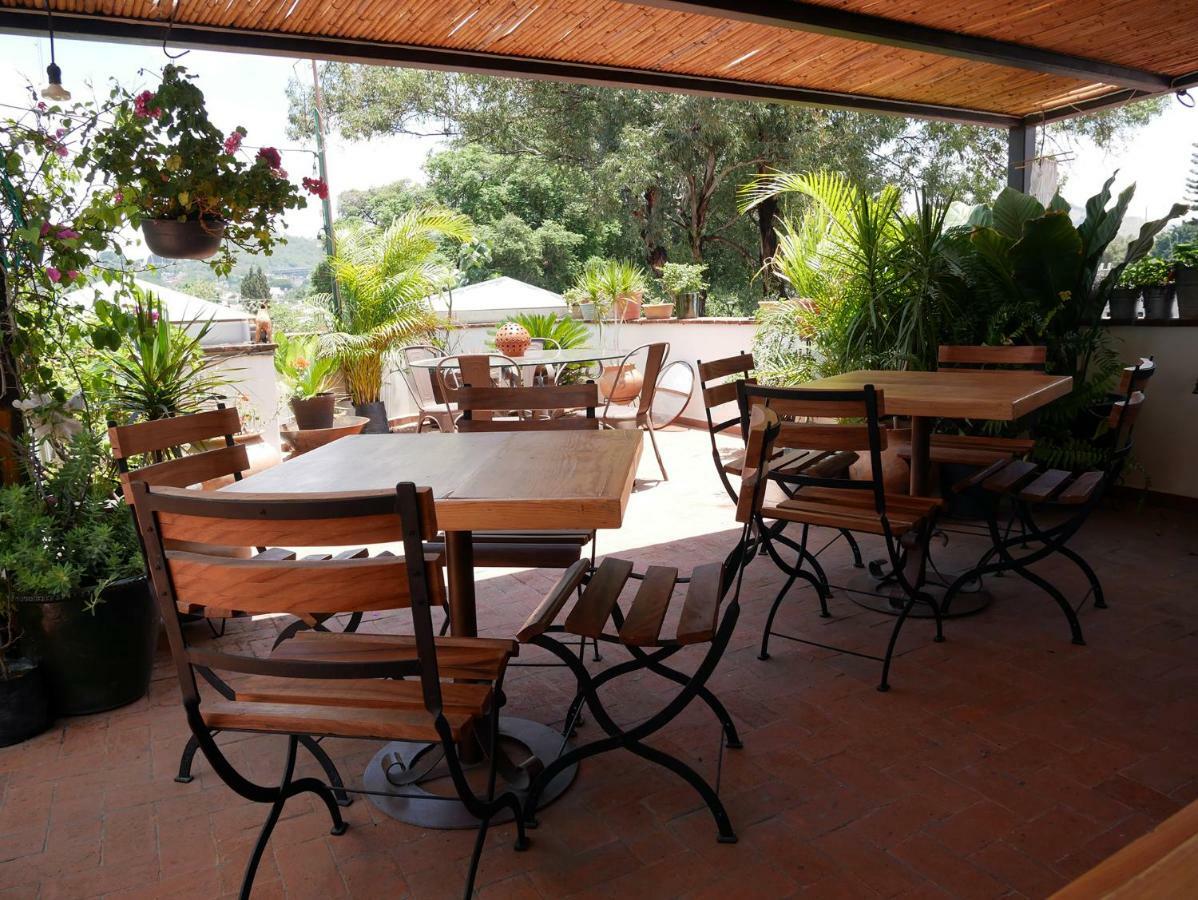 Oaxaca La Cochinilla Hotel Boutique מראה חיצוני תמונה